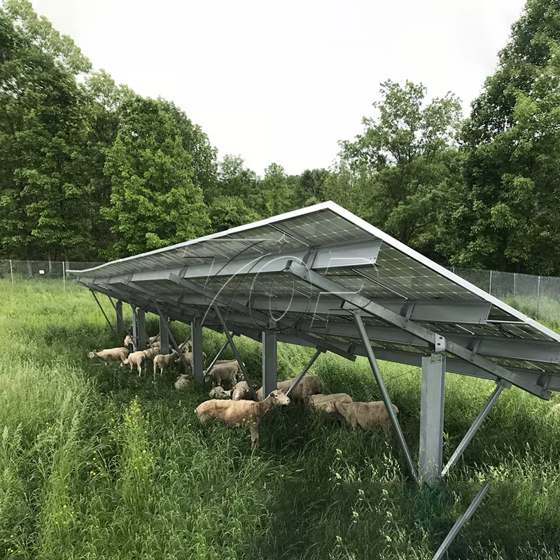 Granja solar